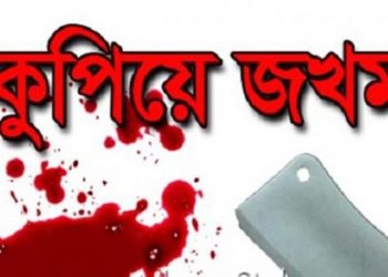 বৃদ্ধ শ্বশুরকে কুপিয়ে গুরুতর জখম 