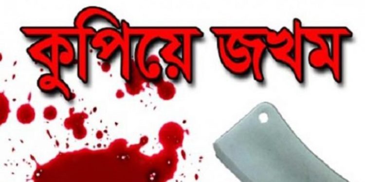 বৃদ্ধ শ্বশুরকে কুপিয়ে গুরুতর জখম