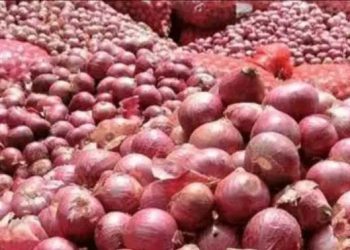 সেঞ্চুরি পার করেছে পেঁয়াজের দাম