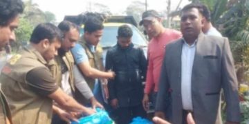 বাগেরহাট মোল্লাহাটে ১ মণ গাঁজাসহ মাদক কারবারি গ্রেফতার ২