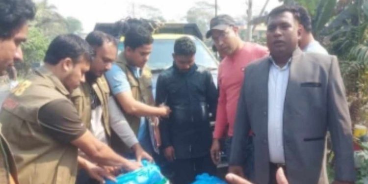 বাগেরহাট মোল্লাহাটে ১ মণ গাঁজাসহ মাদক কারবারি গ্রেফতার ২