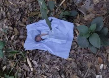 শৈলকুপায় কাফনের কাপড়ে জড়ানো এক নবজাতকের মরদেহ উদ্ধার