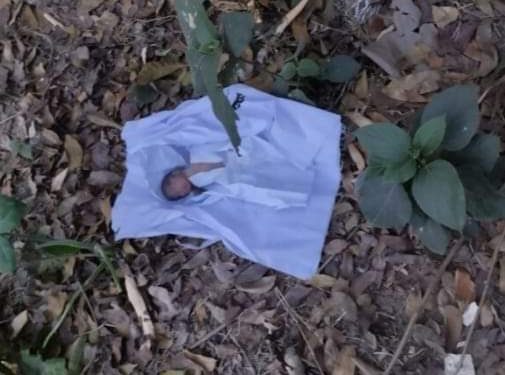 শৈলকুপায় কাফনের কাপড়ে জড়ানো এক নবজাতকের মরদেহ উদ্ধার