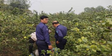 রাতে নিখোঁজ;সকালে লেবু বাগান থেকে মিলল ‘মৃতদেহ’