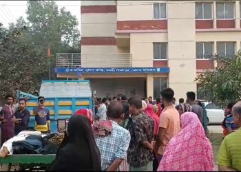 মির্জাপুরে সড়ক দুর্ঘটনায় নারীসহ চারজন নিহত