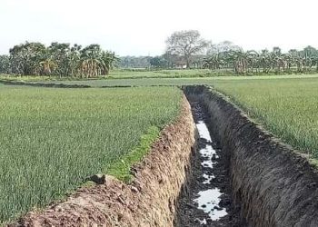 সালথায় খাল খনন করে ইটভাটায় মাটি বিক্রি অভিযোগ ইউপি সদস্যের বিরুদ্ধে 