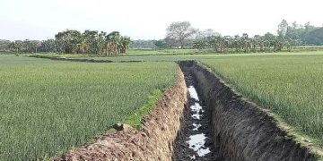 সালথায় খাল খনন করে ইটভাটায় মাটি বিক্রি অভিযোগ ইউপি সদস্যের বিরুদ্ধে 