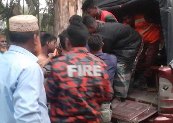 ভারতীয় দুই বন্য হাতির আক্রমণে প্রতিবন্ধী যুবক নিহত