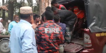 ভারতীয় দুই বন্য হাতির আক্রমণে প্রতিবন্ধী যুবক নিহত