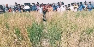 বগুড়ার নন্দীগ্রামে অজ্ঞাত যুবকের লাশ উদ্ধার