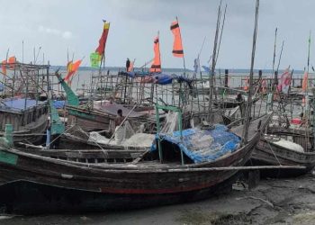 মাছ শিকারে ২ মাসের অভিযান শুরু মেঘনা ও তেঁতুলিয়া নদীতে 