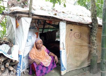 মাথাগোঁজার একটু ঠাঁই চাইলেন স্বামীপরিত্যক্তা হায়াতন নেছা