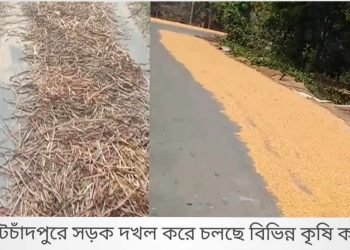 কোটচাঁদপুরে সড়ক দখল করে কৃষি কাজ, দূর্ঘটনার আশংকা