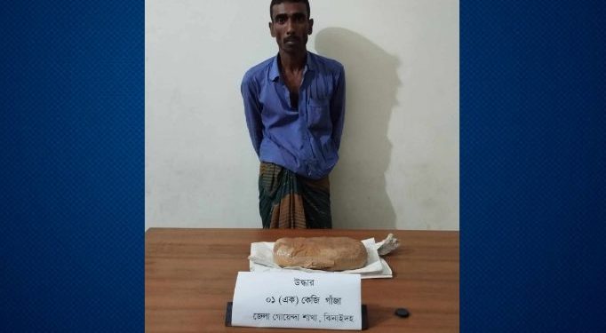 ঝিনাইদহে ডিবি পুলিশের অভিযানে ১ কেজি গাজাসহ গ্রেফতার ১