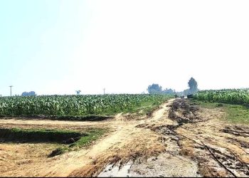 দরপত্রে অনিয়মের দুই মাস পার হলেও   শাস্তি না দিয়ে উল্টো কাজ দেওয়ার চেষ্টা