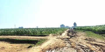 দরপত্রে অনিয়মের দুই মাস পার হলেও   শাস্তি না দিয়ে উল্টো কাজ দেওয়ার চেষ্টা