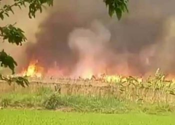 ভেড়ামারায় ১০ কি.মি. এলাকা জুড়ে ভয়াবহ অগ্নিকাণ্ড 