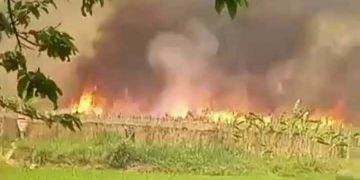 ভেড়ামারায় ১০ কি.মি. এলাকা জুড়ে ভয়াবহ অগ্নিকাণ্ড 