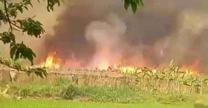 ভেড়ামারায় ১০ কি.মি. এলাকা জুড়ে ভয়াবহ অগ্নিকাণ্ড 