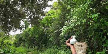 পানির জন্য ধুকছে সাজেক পাহাড়ের মানুষ