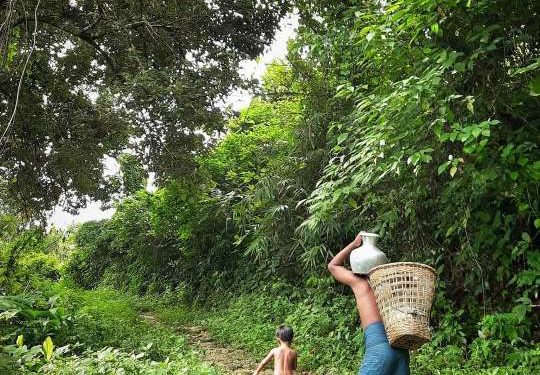 পানির জন্য ধুকছে সাজেক পাহাড়ের মানুষ