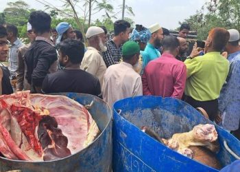 বাগেরহাট শরণখোলায় মৃত গরু জবাই করা ৫ মন মাংস জব্দ   আটক ৩ 