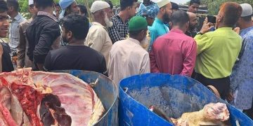 বাগেরহাট শরণখোলায় মৃত গরু জবাই করা ৫ মন মাংস জব্দ   আটক ৩ 