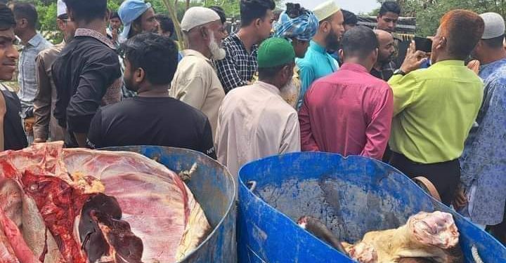 বাগেরহাট শরণখোলায় মৃত গরু জবাই করা ৫ মন মাংস জব্দ আটক ৩