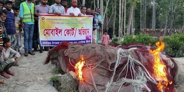 মেহেন্দিগঞ্জে জাটকা সংরক্ষণ অভিযান। 