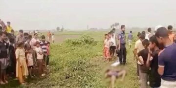 ডাকাতিকালে গণপিটুনিতে নিহত-৪