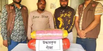 বগুড়ায় ডিবি পুলিশের অভিযানে ১০ কেজি গাঁজাসহ গ্রেফতার- ২ 