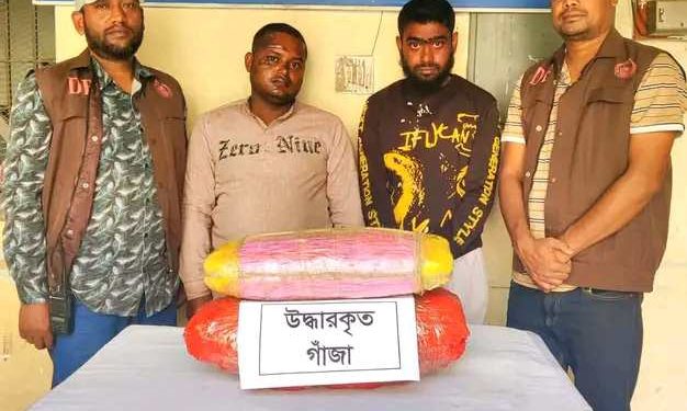 বগুড়ায় ডিবি পুলিশের অভিযানে ১০ কেজি গাঁজাসহ গ্রেফতার- ২