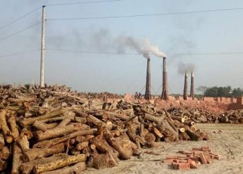 খুলনায় পরিবেশ বিধ্বংসকারী ইটভাটার প্রভাবে হুমকিরমুখে প্রকৃতি ও জীব বৈচিত্র। 