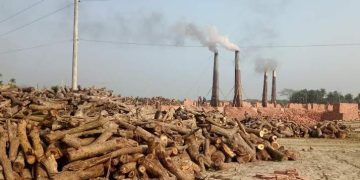 খুলনায় পরিবেশ বিধ্বংসকারী ইটভাটার প্রভাবে হুমকিরমুখে প্রকৃতি ও জীব বৈচিত্র। 