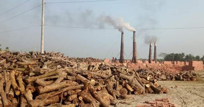 খুলনায় পরিবেশ বিধ্বংসকারী ইটভাটার প্রভাবে হুমকিরমুখে প্রকৃতি ও জীব বৈচিত্র।