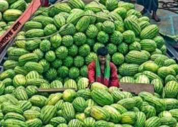 কেজিতে নয়, পিস হিসেবে তরমুজ বিক্রির নির্দেশ, কাল থেকে কার্যকর।