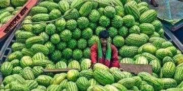 কেজিতে নয়, পিস হিসেবে তরমুজ বিক্রির নির্দেশ, কাল থেকে কার্যকর।