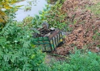 গরু বোঝাই নছিমন উল্টে নিহত-১