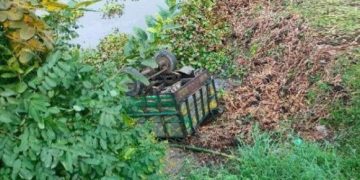 গরু বোঝাই নছিমন উল্টে নিহত-১