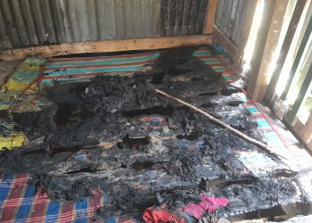 পটুয়াখালী বাউফলে যুবলীগ নেতার মাছের আড়তে ‘দুর্বৃত্তের আগুন’