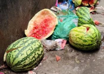 মেহেন্দীগঞ্জে তরমুজের দাম অর্ধেকে নেমেছে, মিলছে না ক্রেতা। 