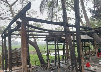 ডাসারে অগ্নিকান্ডে গবাদি পশু পুড়ে ছাই