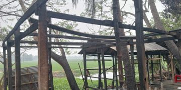 ডাসারে অগ্নিকান্ডে গবাদি পশু পুড়ে ছাই