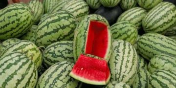 তরমুজ সকালে ২শ বিকালে ৮শ 