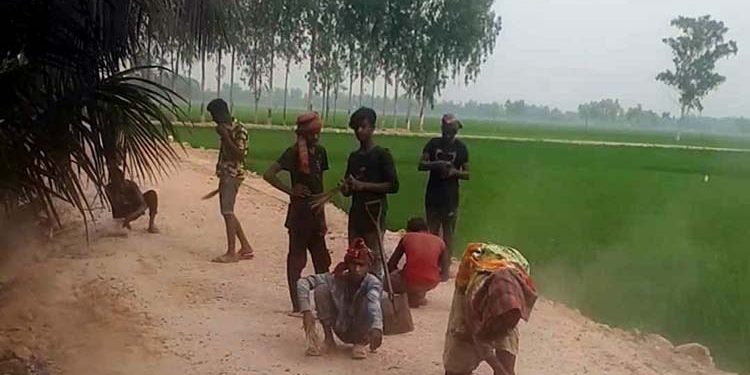 বগুড়ার শেরপুরে ইউএনও, প্রকৌশলীসহ ৮ জনের বিরুদ্ধে আদালতে মামলা