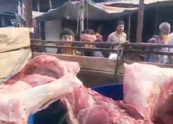 রোগাক্রান্ত মৃত গরুর মাংস বিক্রয়কালে কসাই ও বিক্রেতা আটক। 