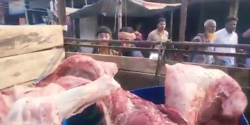 রোগাক্রান্ত মৃত গরুর মাংস বিক্রয়কালে কসাই ও বিক্রেতা আটক। 