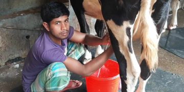 পঞ্চগড়ে এম এম এগ্রো ফার্মসের মহৎ উদ‍্যোগ