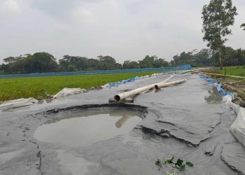 পটুয়াখালী বাউফলে ইউএনও’র নাম ভাঙিয়ে অবৈধভাবে বালু তুলছেন ইউপি চেয়ারম্যান