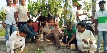 পাঁচবিবিতে ছাত্রলীগের বৃক্ষ রোপন ।